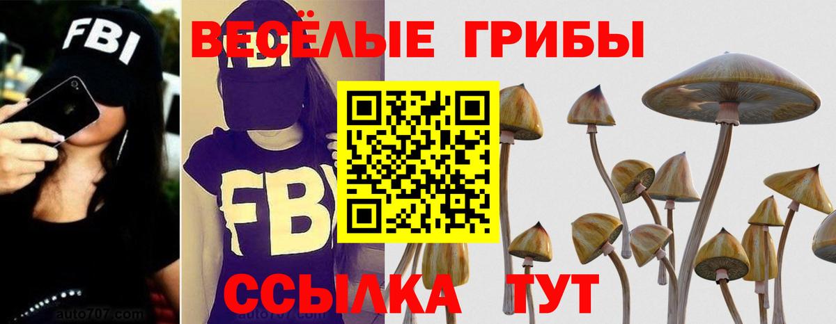 Псилоцибиновые грибы MAGIC MUSHROOMS Реутов